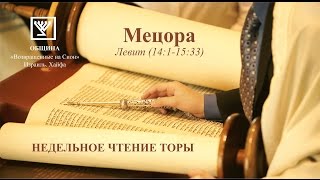 Мецора (Левит 14:1 – 15:33)