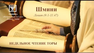 Шмини (Левит 9:1 – 11:47)