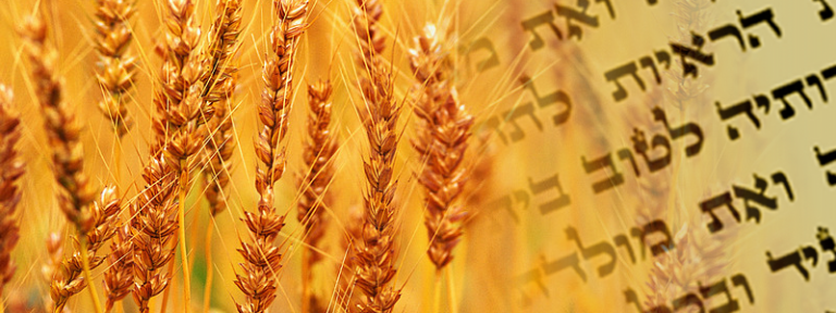 The essence of Shavuot