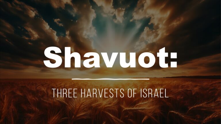 Shavuot: Three Harvests of Israel